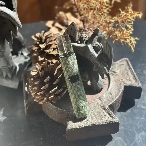 哩亞一代皮革主機